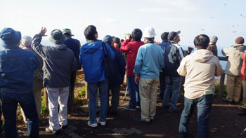 �쒹�ώ@��̗l�q