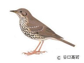 �E�^�c�O�~:�V�łŒJ��������ɒ����Ă����������}�ł̗�