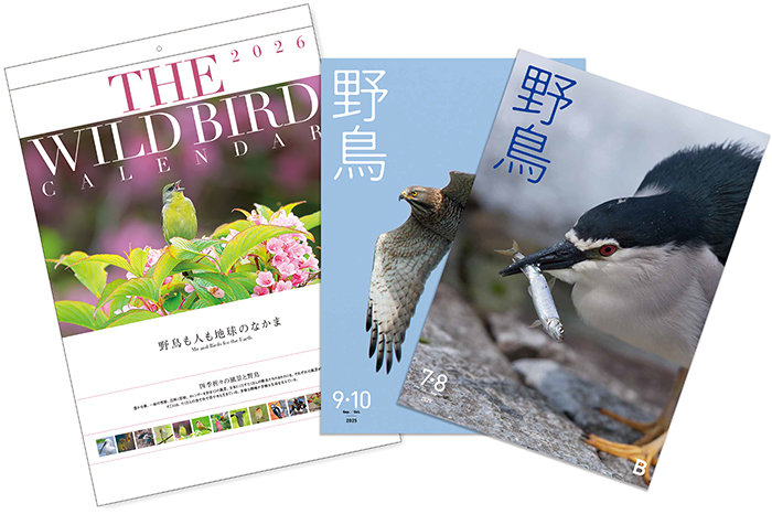 日本野鳥の会 : 「第67回全国カタログ展」・「第77回全国カレンダー展