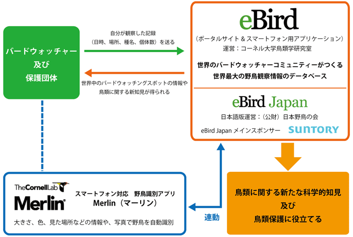 eBird概念図