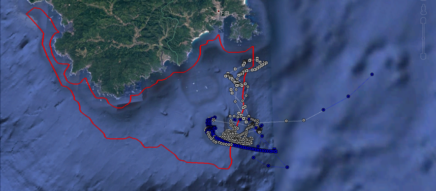 図3．神子元島の繁殖個体3個体の採餌海域