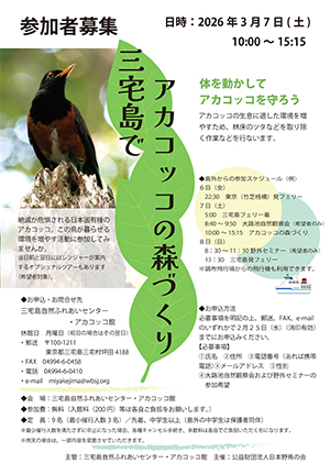 「三宅島でアカコッコの森づくり」参加者募集チラシ