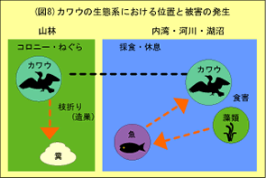 図8