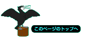 このページのトップへ