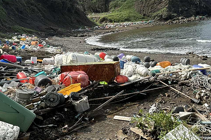 プラスチックごみから海岸生態系を守るには