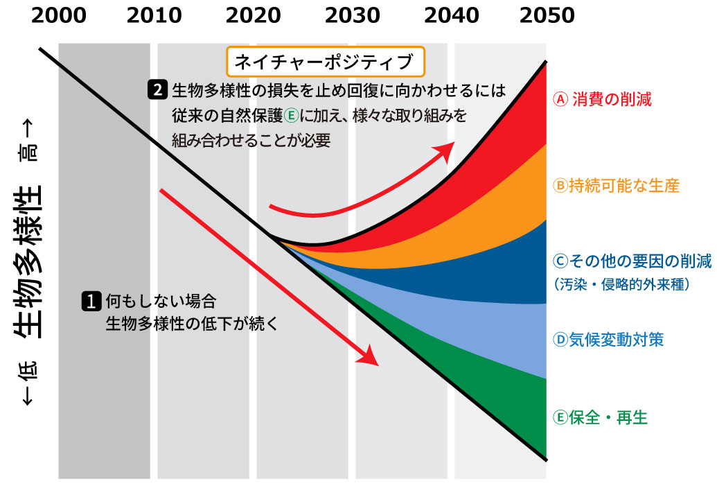 生物多様性の損失を減らし、回復させる行動のポートフォリオ