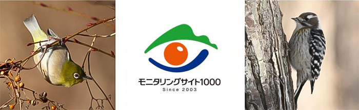 モニタリングサイト1000　陸生鳥類調査イメージ