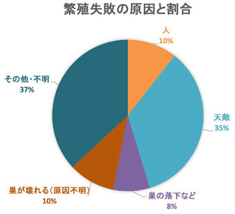 ツバメが繁殖に失敗した原因とその割合