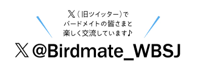 X(旧ツイッター)でバードメイトの皆さまと楽しく交流しています♪