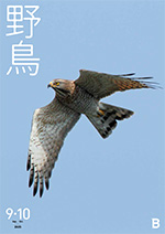 2025年9・10月号野鳥誌