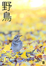 2025年11・12月号野鳥誌