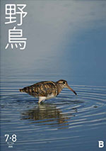 2026年7・8月号野鳥誌
