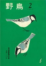 『野鳥』1965年3・4月号（No.230）表紙
