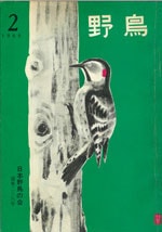 『野鳥』1966年3・4月号（No.236）表紙