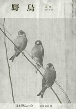 『野鳥』1966年12月号（No.243）表紙