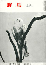 『野鳥』1968年3月号（No.258）表紙