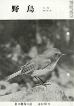 『野鳥』1967年4月号（No.247）表紙
