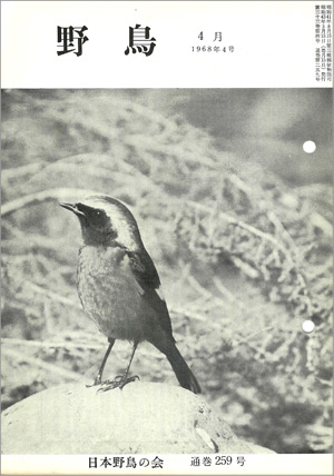 『野鳥』1968年4月号(No.259)