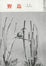 『野鳥』1968年5月号(No.260)
