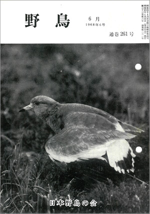 『野鳥』1968年6月号(No.261)