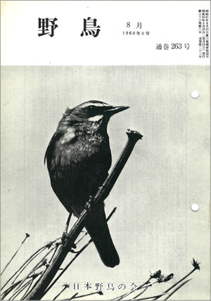 『野鳥』1968年8月号(No.263)