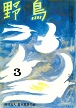 『野鳥』1971年3月号(No.294)