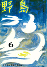 『野鳥』1971年6月号(No.297)