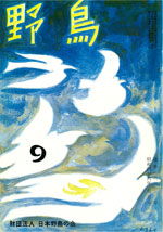 『野鳥』1971年9月号(No.300)