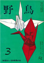 『野鳥』1972年3月号(No.306)