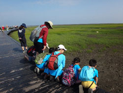 高美湿地の自然観察