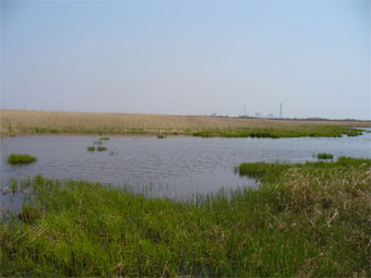 工業都市・苫小牧に残された勇払原野