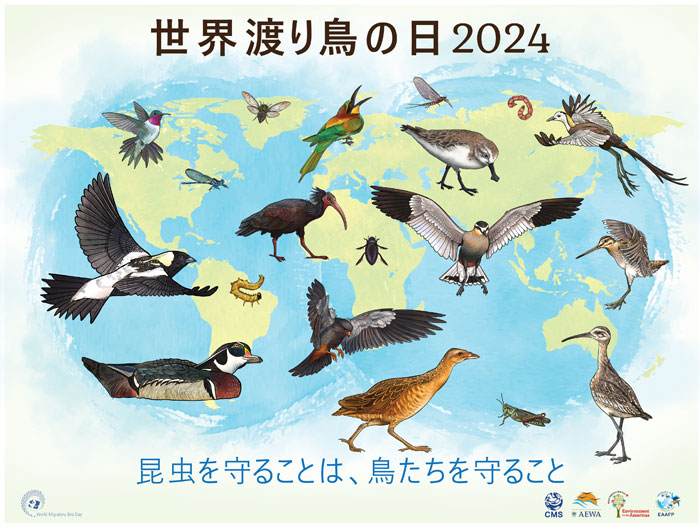 世界渡り鳥の日2024 昆虫を守ることは、鳥たちを守ること バナー