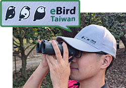 eBird台湾チームオリジナルキャップ