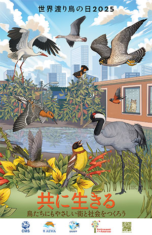 世界渡り鳥の日2025 共に生きる―鳥たちにもやさしい街と社会をつくろう バナー