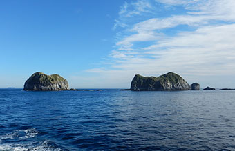 図2. 調査地遠景(向かって右側が調査を実施した「沖の祇苗」と呼ばれる無人島)