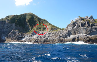 図3. 調査地遠景(赤い点線部分が調査地)