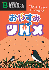パンフレット『おやすみツバメ』（表紙）