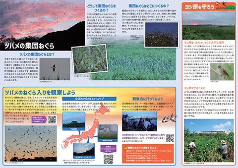 パンフレット『おやすみツバメ』（中面）