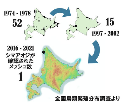 全国鳥類繁殖分布調査においてシマアオジが確認された20kmメッシュの数