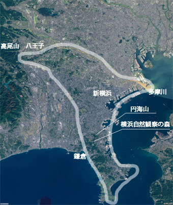 横浜自然観察の森のある円海山・大丸山緑地