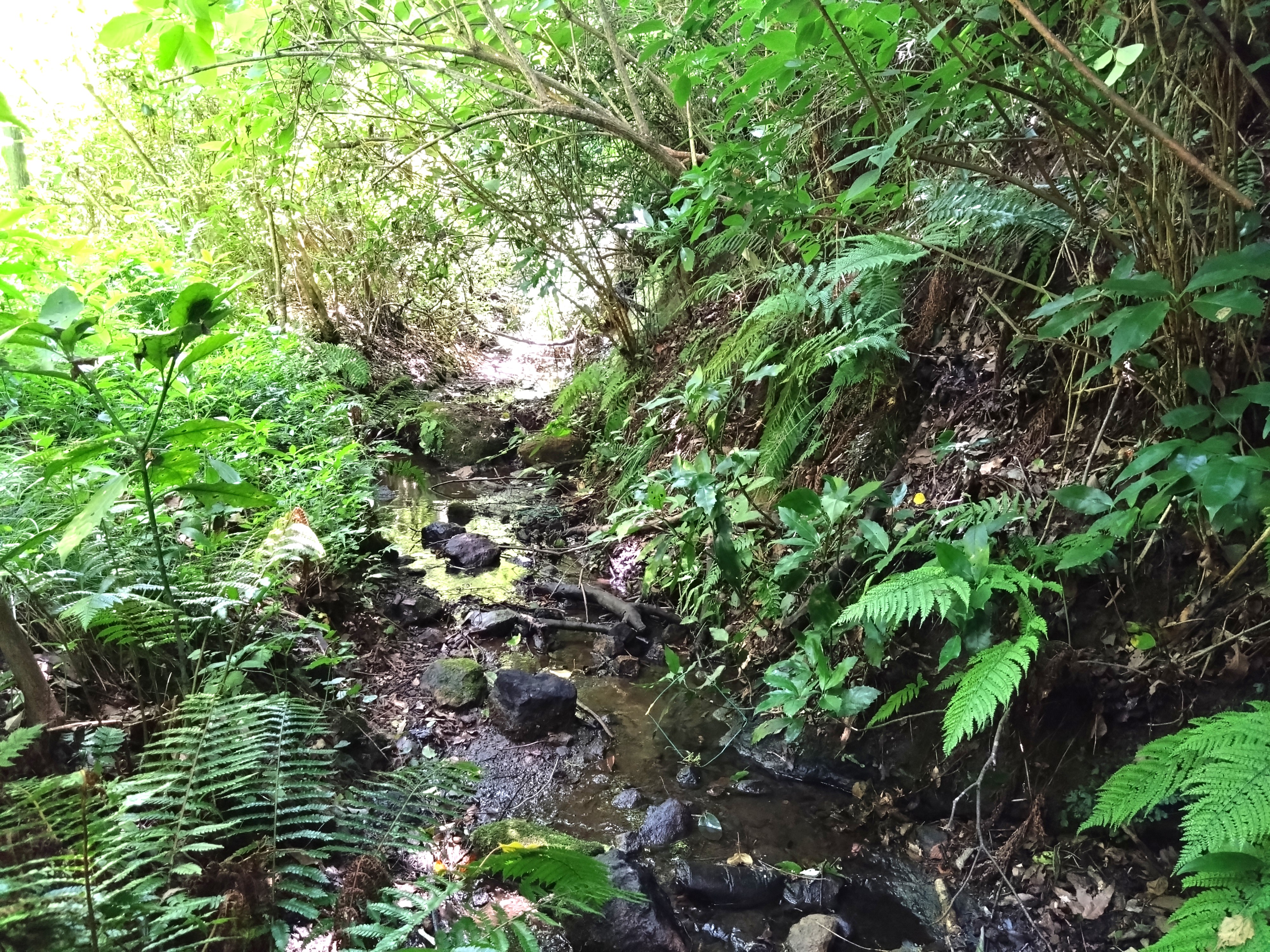 川の源流