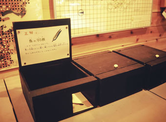 開園当初の「ブラックボックス」展示