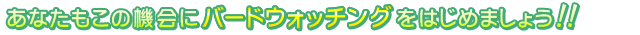 あなたもこの機会にバードウォッチングをはじめましょう！