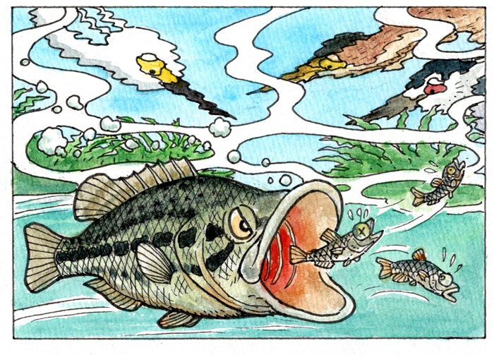 本特集のイラスト：富士鷹なすび