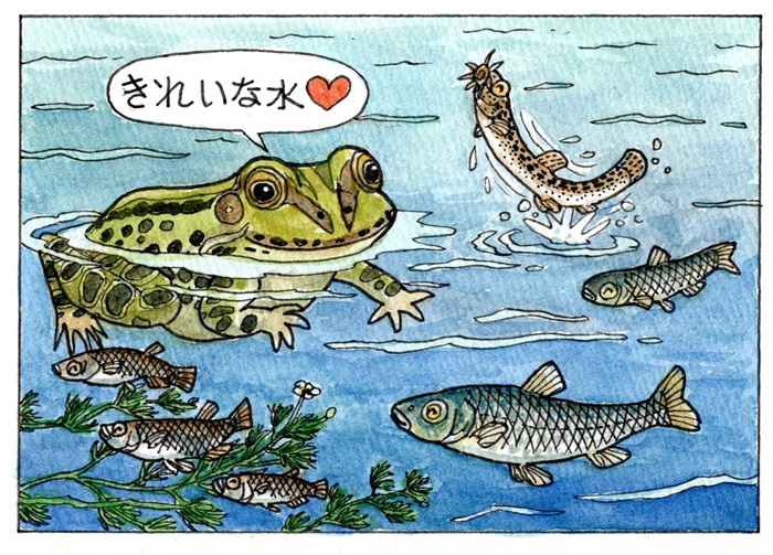本特集のイラスト：富士鷹なすび