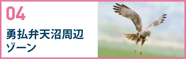 勇払弁天沼周辺ゾーン