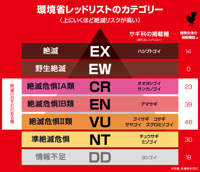 環境省レッドリスト　カテゴリー