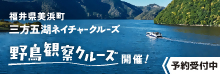 福井県美浜町三方五胡ネイチャークルーズ野鳥観察クルーズ開催！