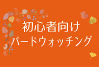 初心者向けバードウォッチングのご案内