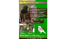 日本野鳥の会 Wild Bird Society of Japan